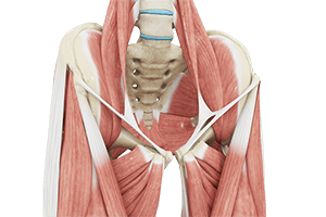  Hip Tendonitis 